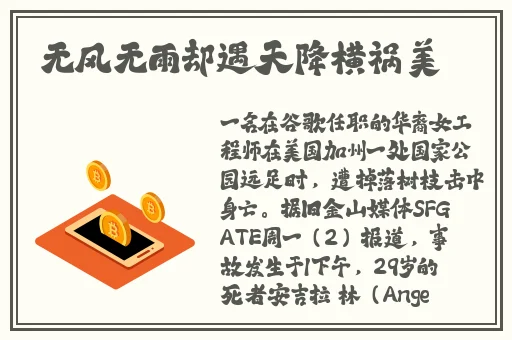一级特黄aa大片欧美